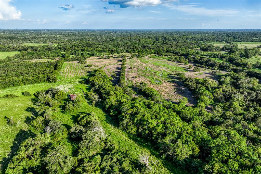 TBD Sandstone Lane, Bellville, Texas image 35