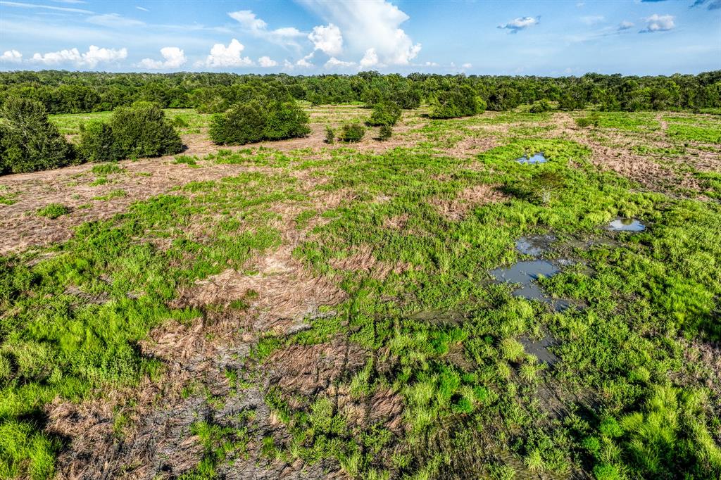 TBD Sandstone Lane, Bellville, Texas image 38