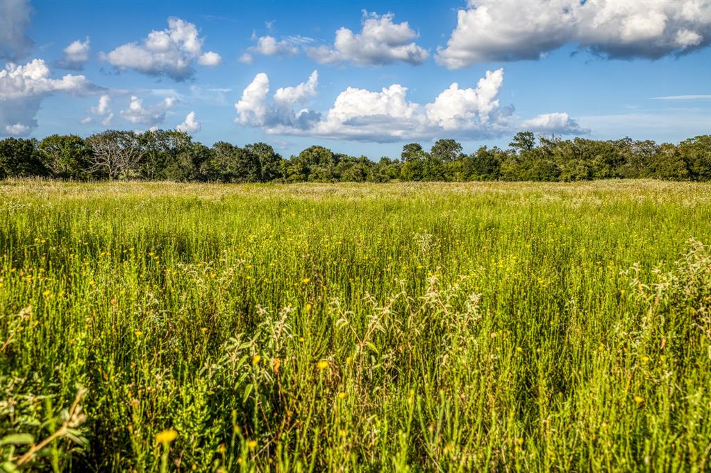 TBD Sandstone Lane, Bellville, Texas image 8