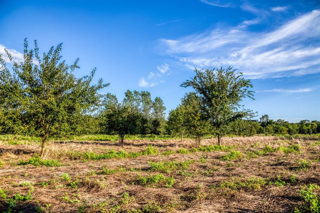 TBD Sandstone Lane, Bellville, Texas image 10