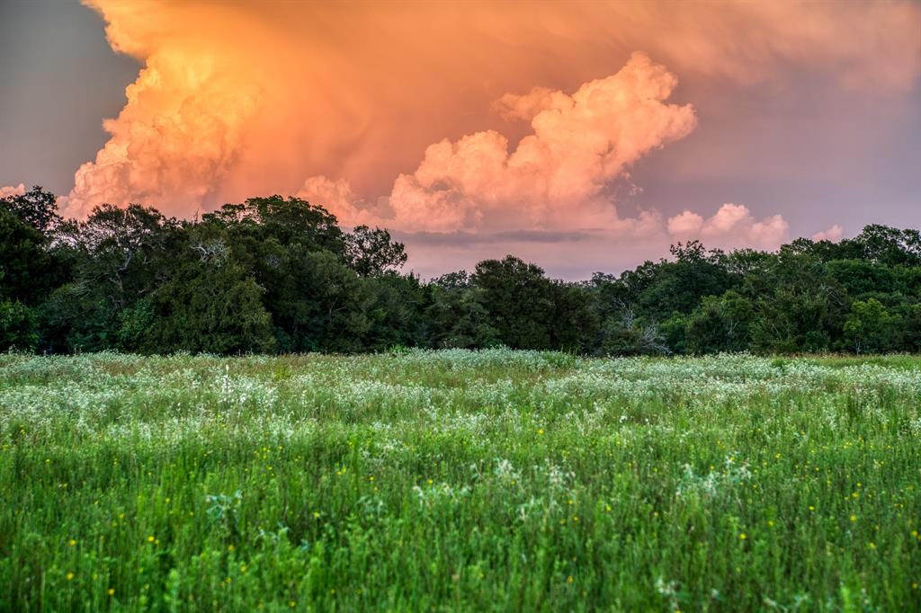 TBD Sandstone Lane, Bellville, Texas image 31