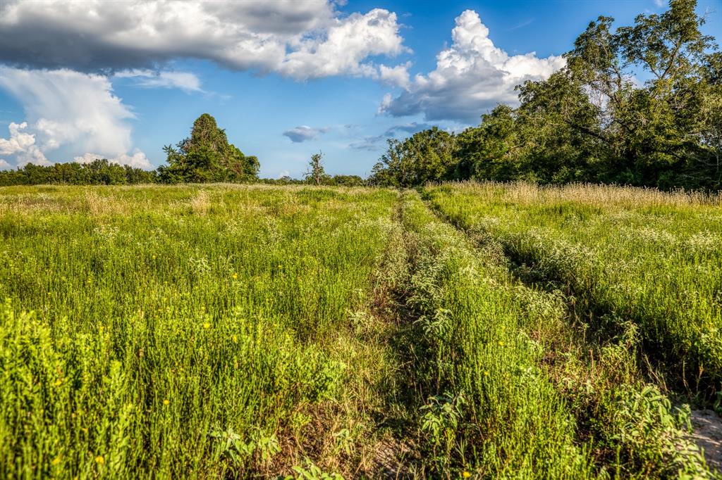 TBD Sandstone Lane, Bellville, Texas image 9