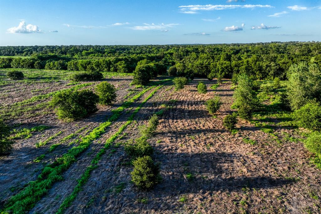 TBD Sandstone Lane, Bellville, Texas image 42