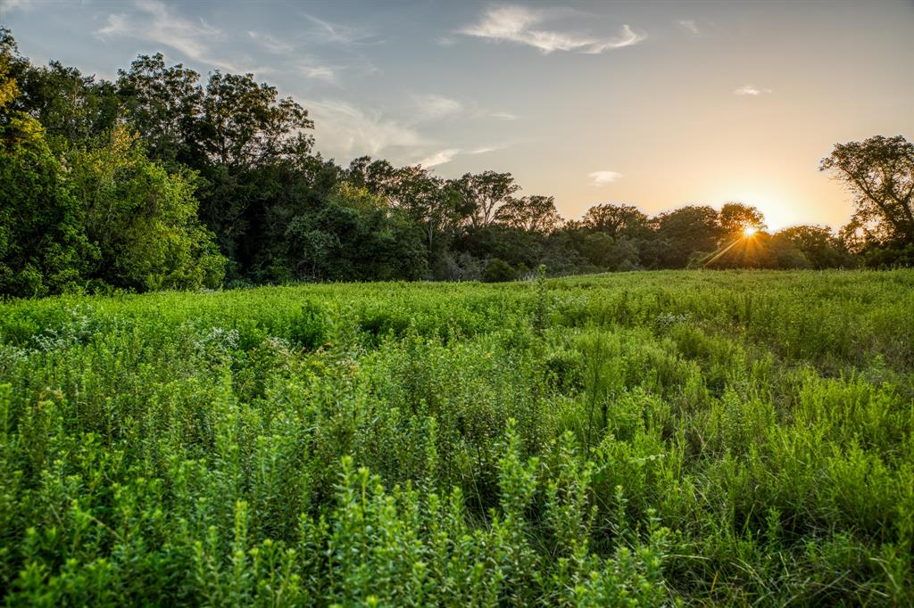 TBD Sandstone Lane, Bellville, Texas image 24