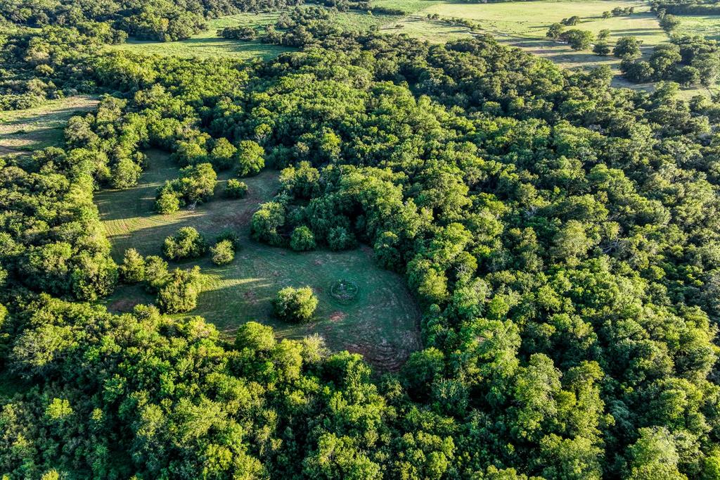 TBD Sandstone Lane, Bellville, Texas image 44