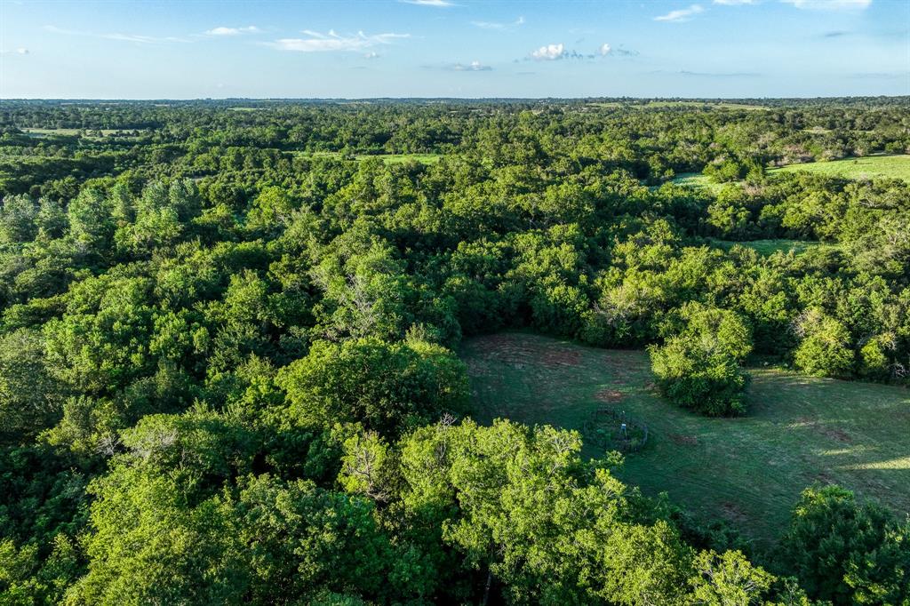 TBD Sandstone Lane, Bellville, Texas image 46