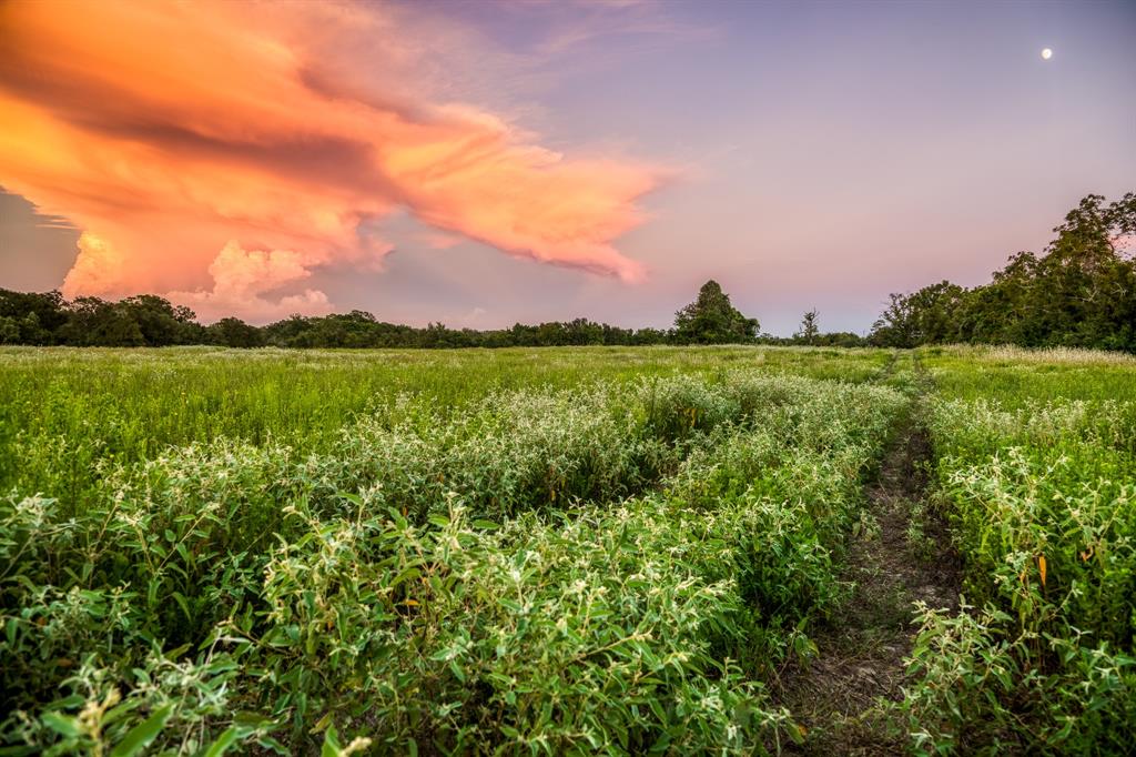 TBD Sandstone Lane, Bellville, Texas image 33