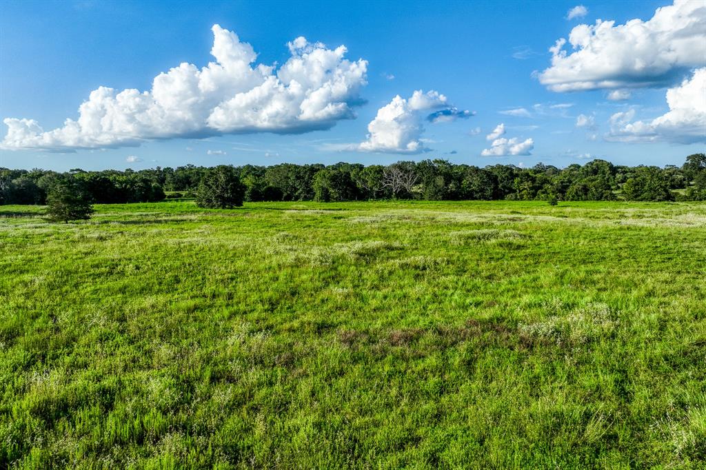 TBD Sandstone Lane, Bellville, Texas image 41