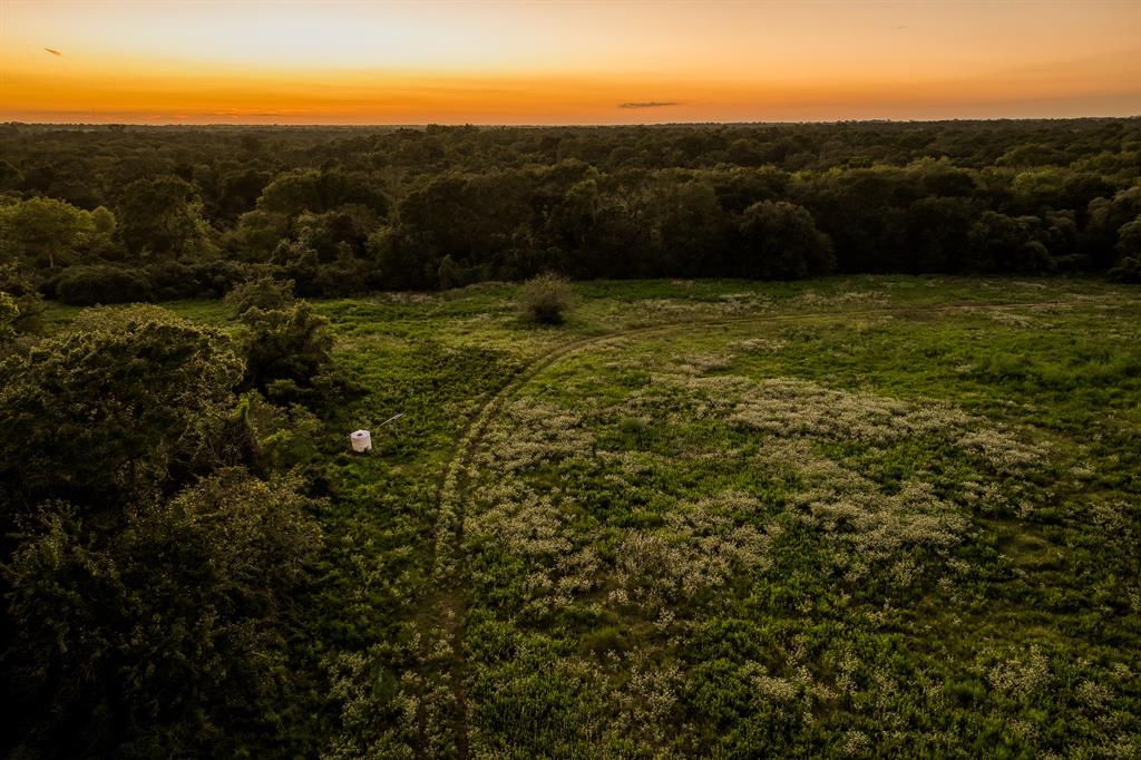 TBD Sandstone Lane, Bellville, Texas image 50