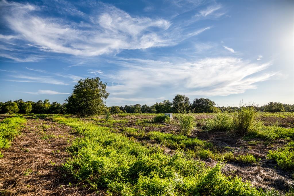 TBD Sandstone Lane, Bellville, Texas image 11