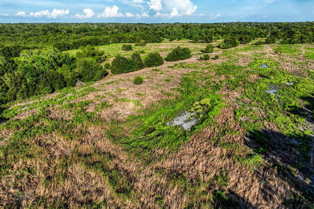 TBD Sandstone Lane, Bellville, Texas image 37