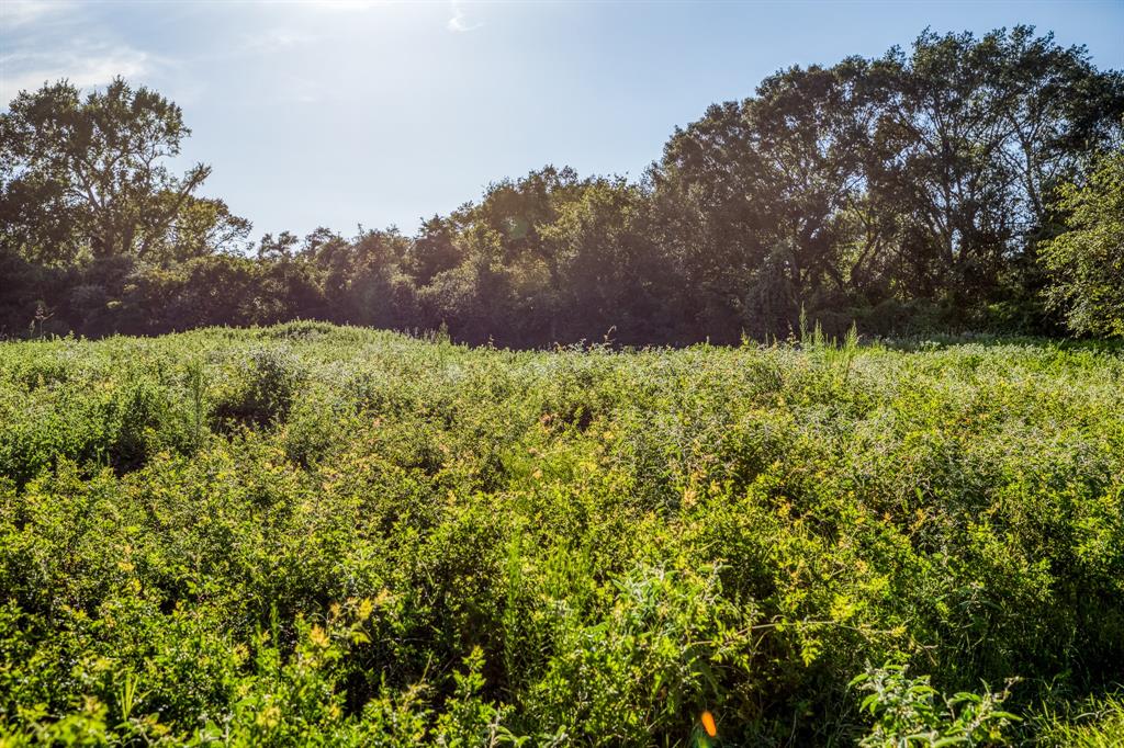 TBD Sandstone Lane, Bellville, Texas image 5