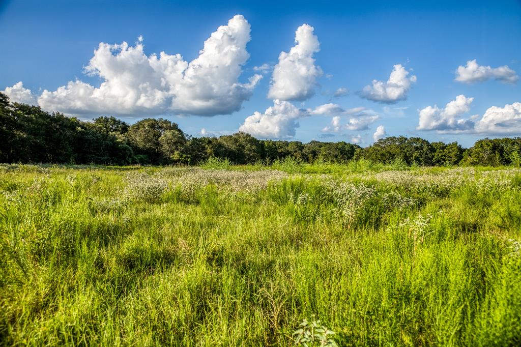 TBD Sandstone Lane, Bellville, Texas image 6