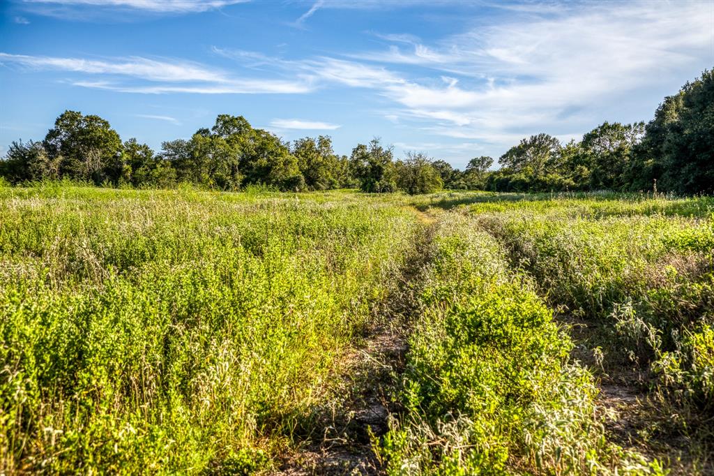 TBD Sandstone Lane, Bellville, Texas image 4