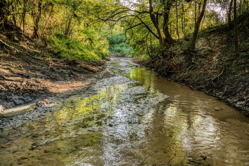 TBD Sandstone Lane, Bellville, Texas image 15