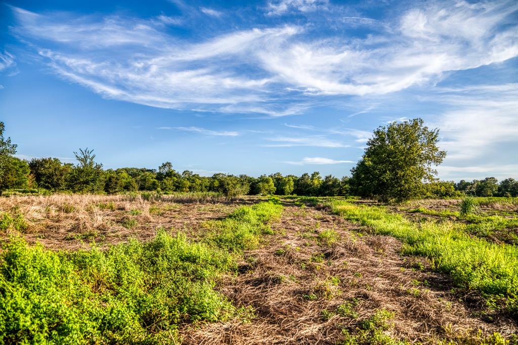 TBD Sandstone Lane, Bellville, Texas image 13