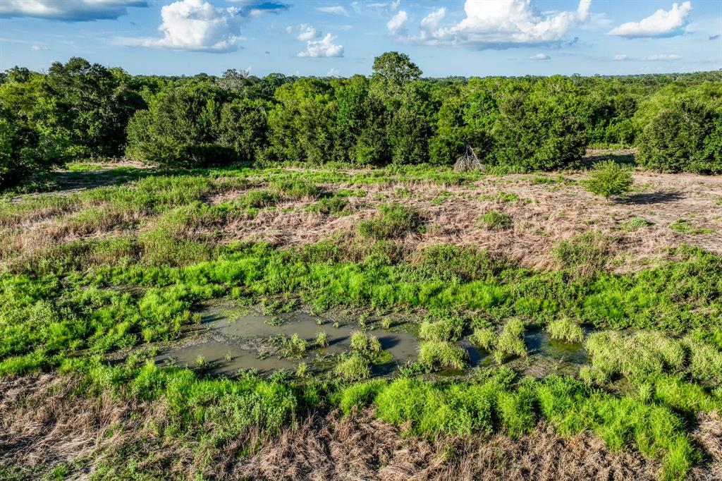 TBD Sandstone Lane, Bellville, Texas image 39