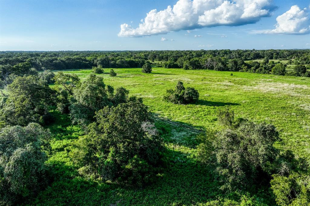 TBD Sandstone Lane, Bellville, Texas image 40