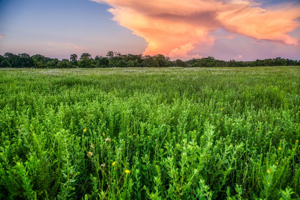 TBD Sandstone Lane, Bellville, Texas image 32