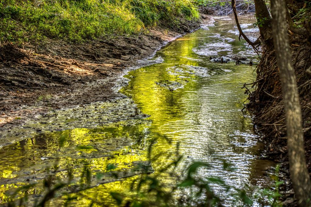 TBD Sandstone Lane, Bellville, Texas image 14