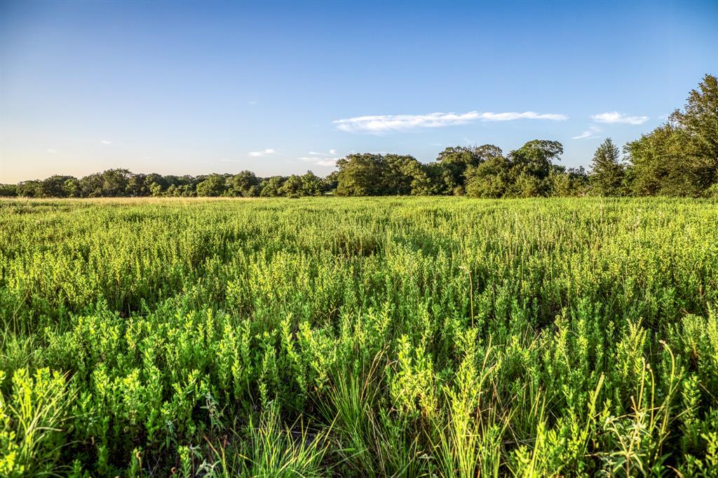 TBD Sandstone Lane, Bellville, Texas image 18