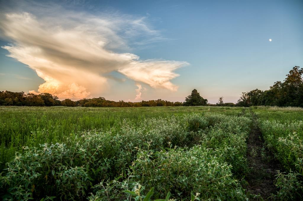 TBD Sandstone Lane, Bellville, Texas image 25