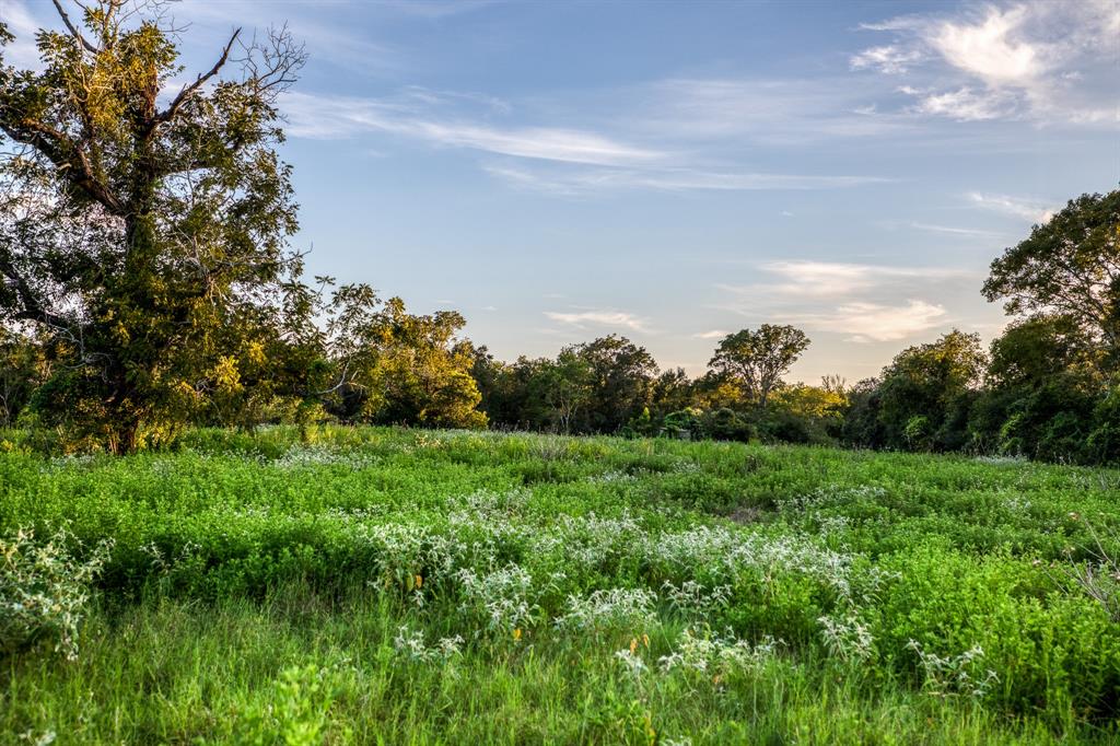 TBD Sandstone Lane, Bellville, Texas image 21