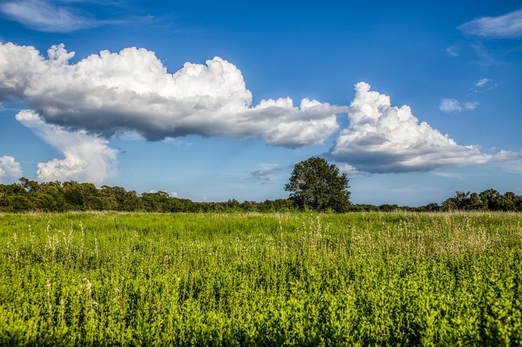 TBD Sandstone Lane, Bellville, Texas image 3