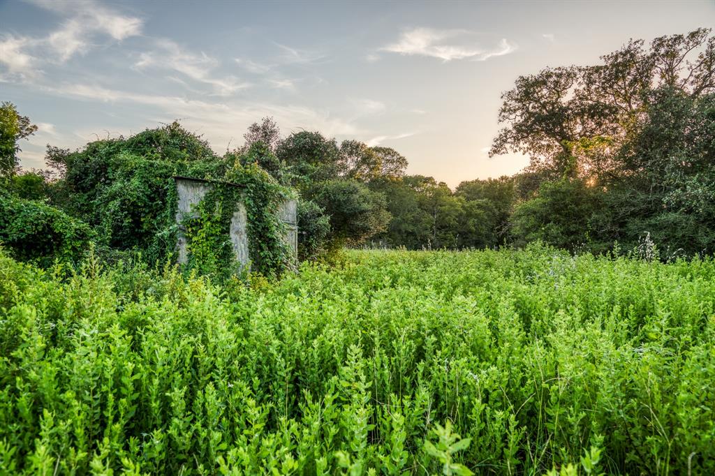 TBD Sandstone Lane, Bellville, Texas image 22