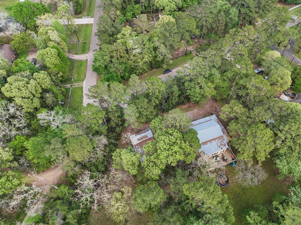 202 Greenbriar Drive, Magnolia, Texas image 45