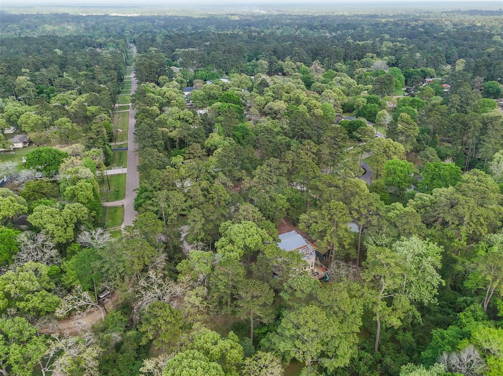 202 Greenbriar Drive, Magnolia, Texas image 42