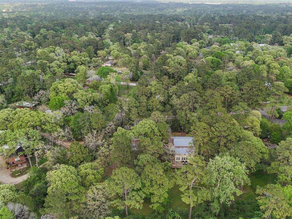 202 Greenbriar Drive, Magnolia, Texas image 41