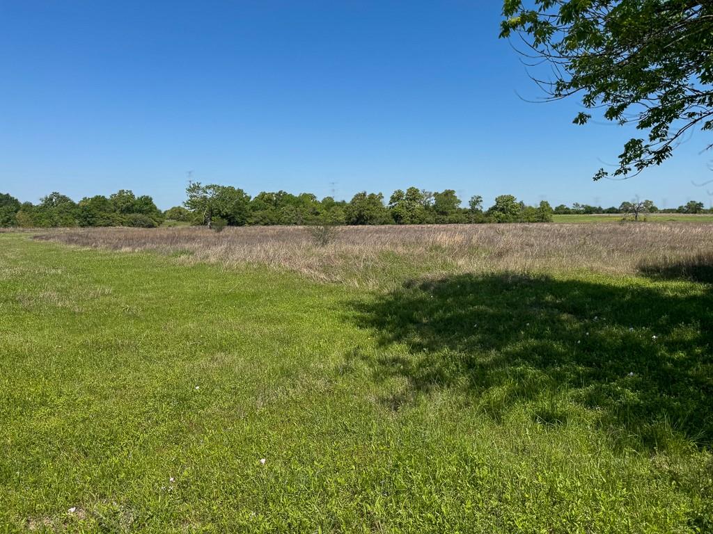 Tract # 3 County Road 124, Iola, Texas image 9