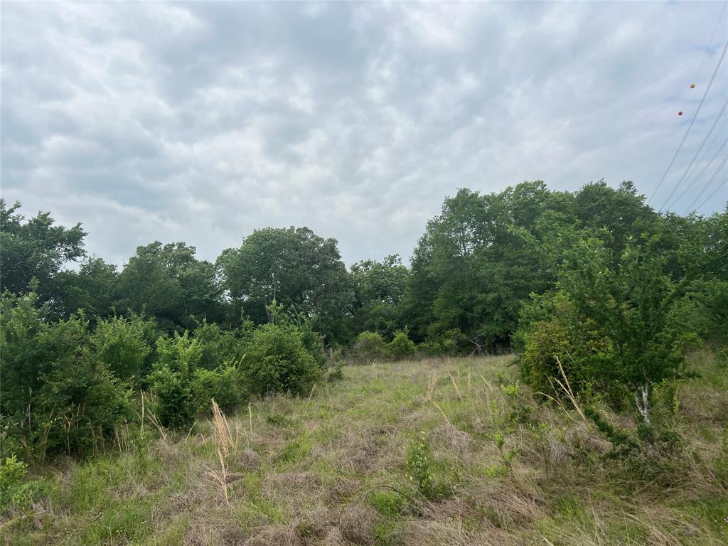 Tract # 3 County Road 124, Iola, Texas image 2
