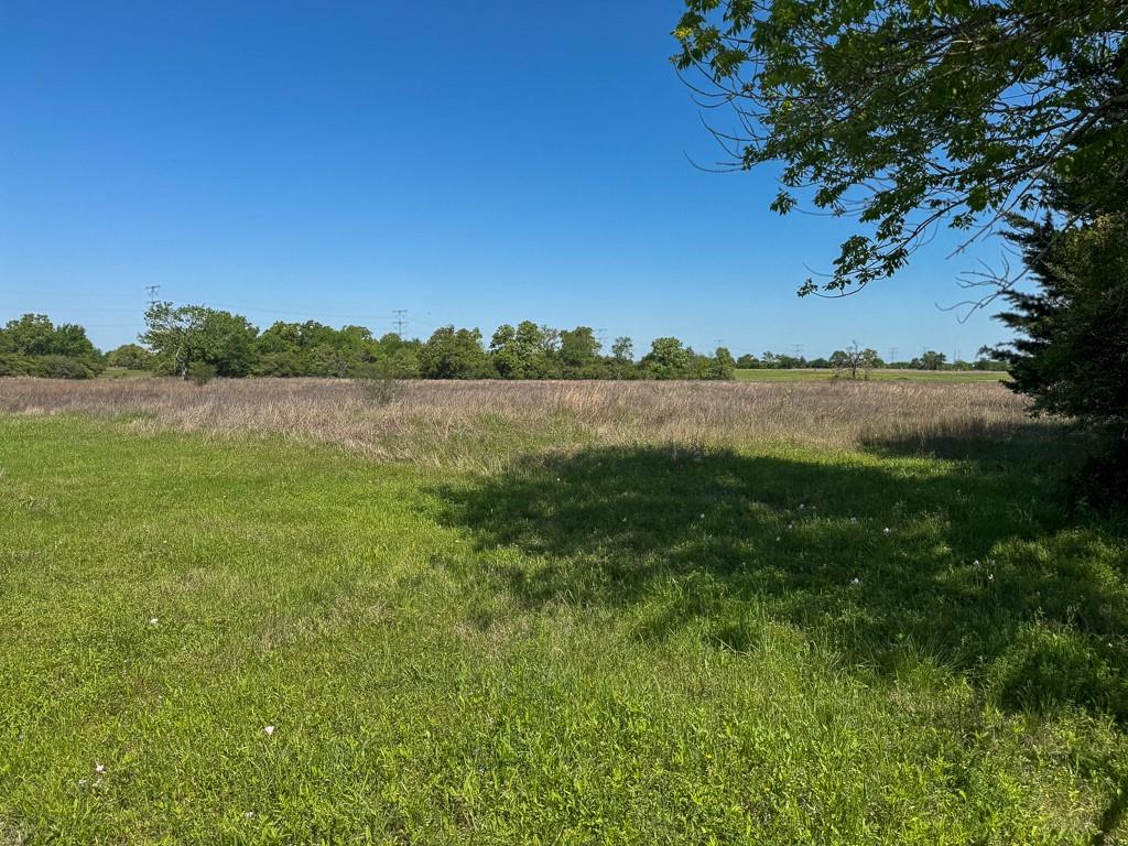 Tract # 3 County Road 124, Iola, Texas image 11