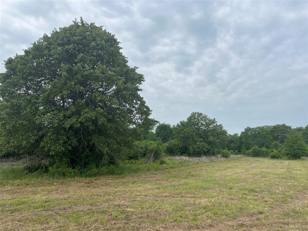 Tract # 3 County Road 124, Iola, Texas image 1
