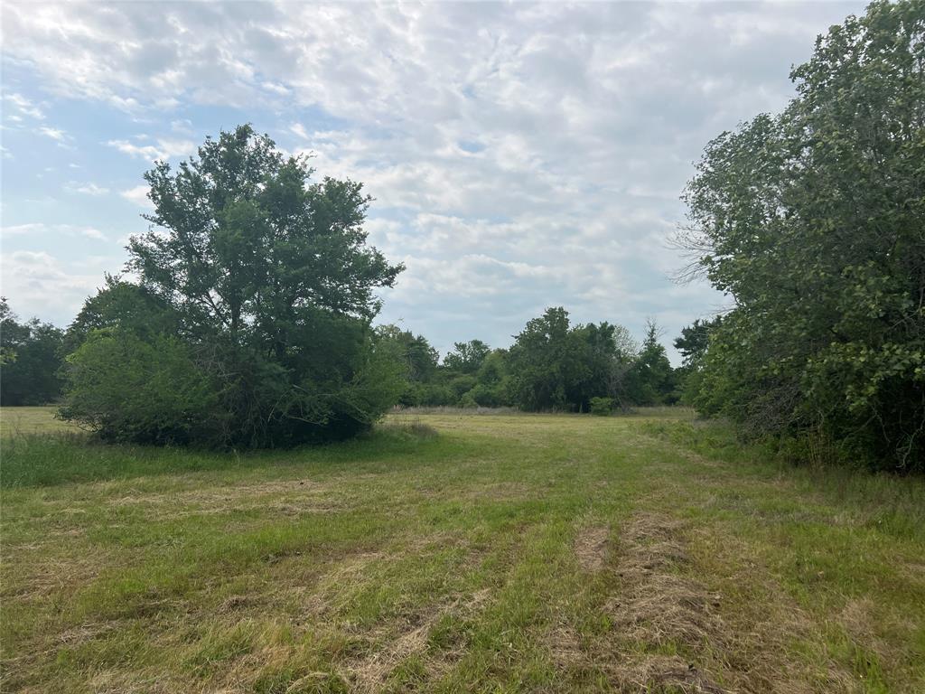 Tract # 3 County Road 124, Iola, Texas image 3