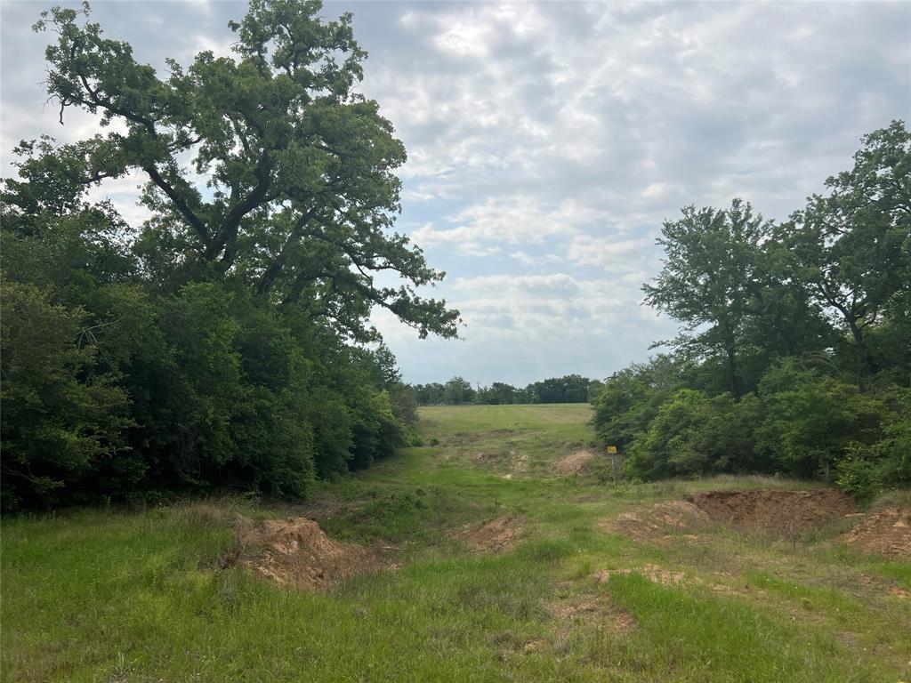 Tract # 3 County Road 124, Iola, Texas image 7