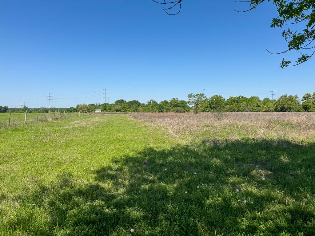 Tract # 3 County Road 124, Iola, Texas image 10