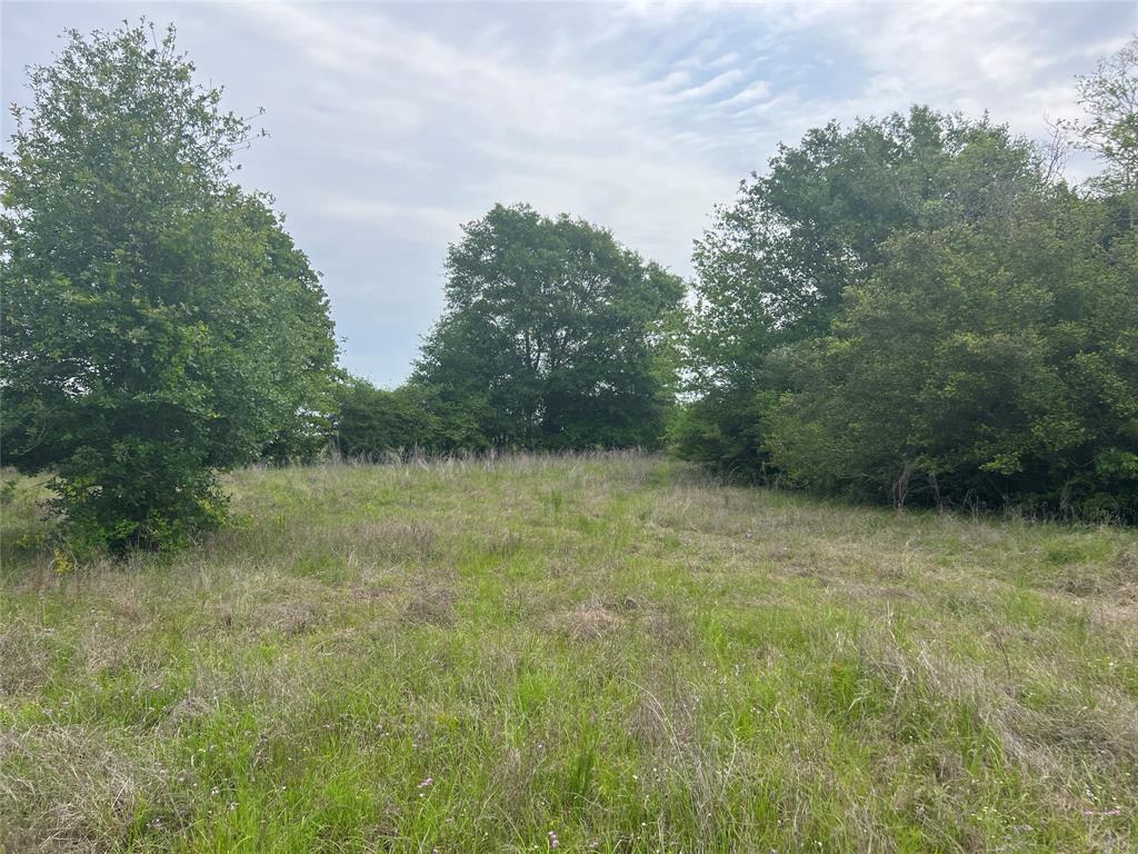 Tract # 3 County Road 124, Iola, Texas image 6