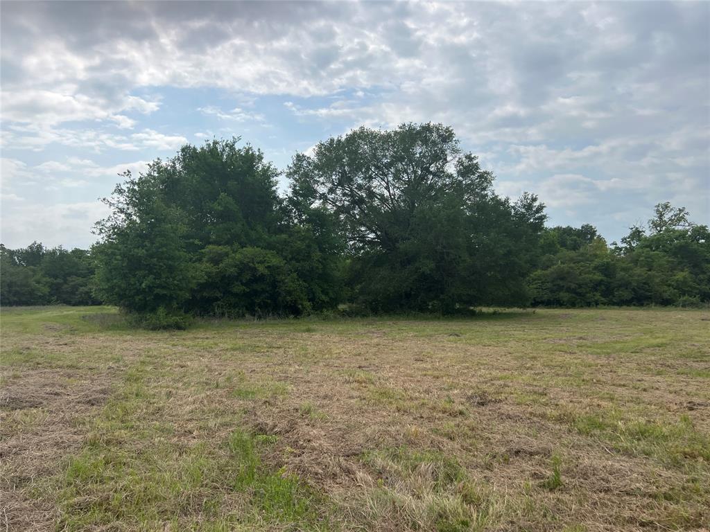 Tract # 3 County Road 124, Iola, Texas image 5