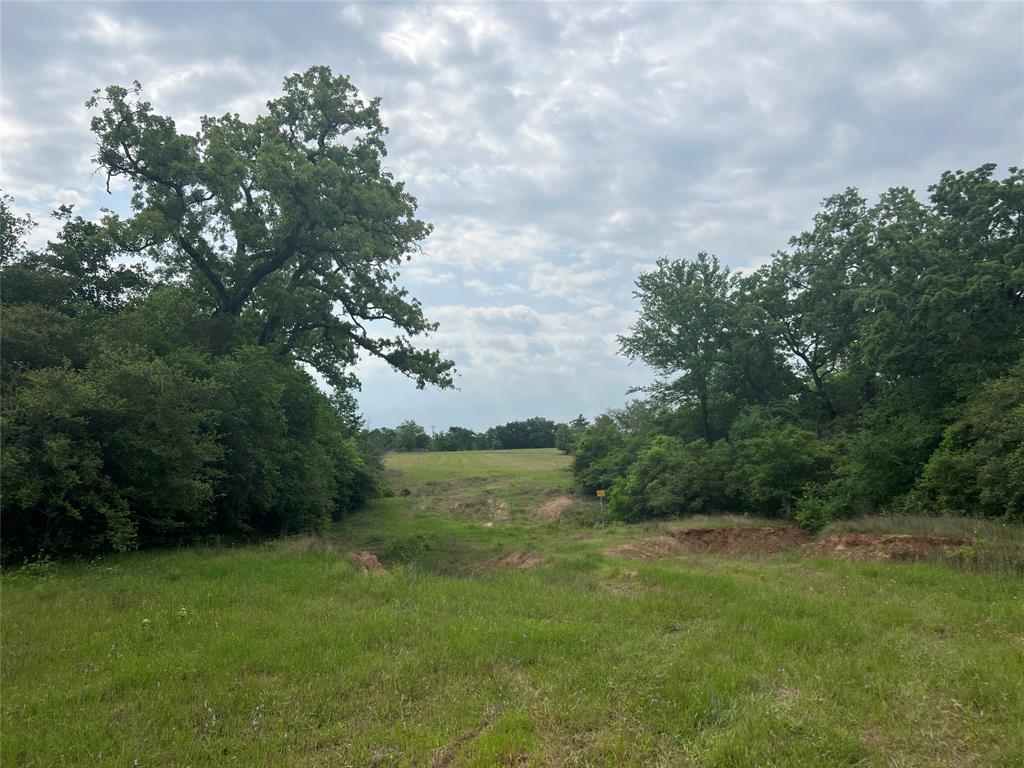 Tract # 3 County Road 124, Iola, Texas image 8