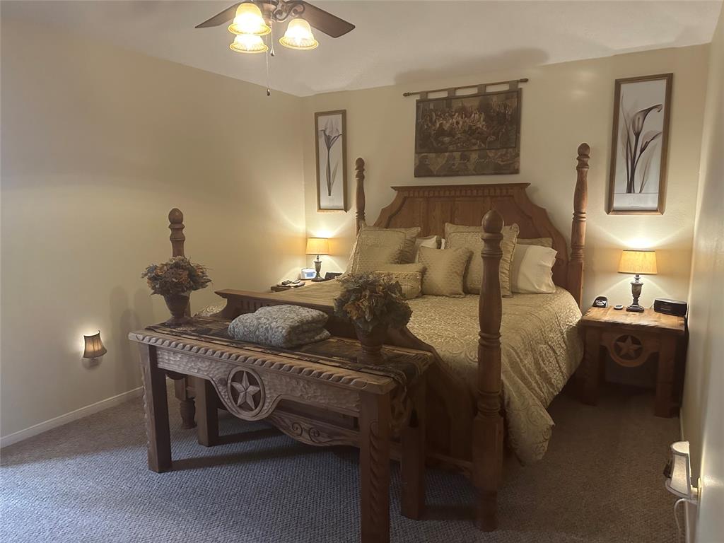 625 County Road 698, Angleton, Texas image 33