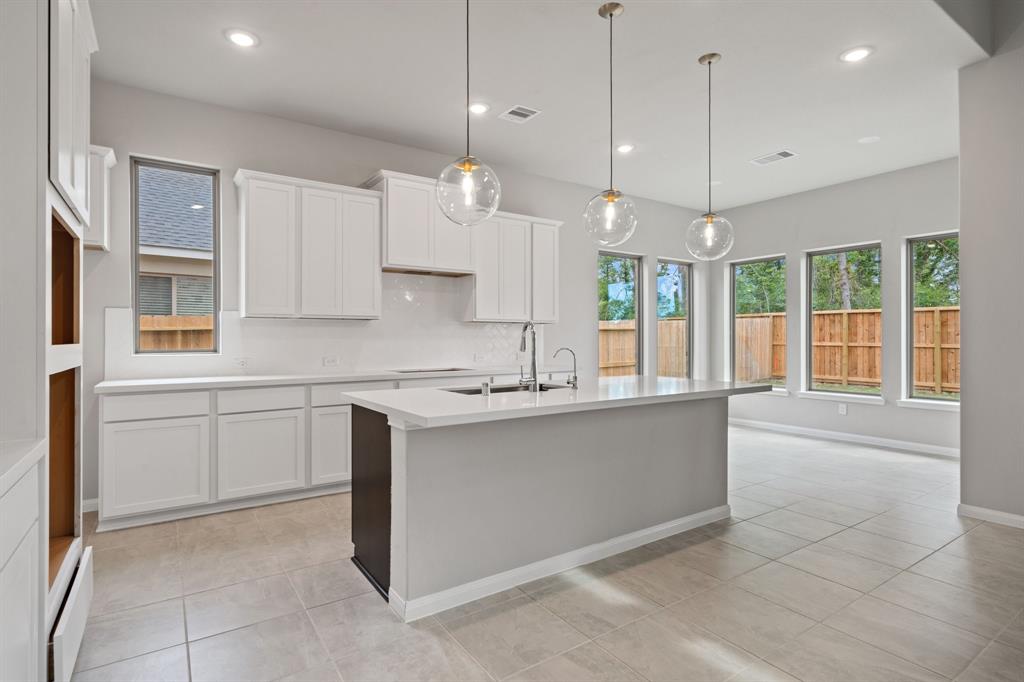 22183 Wilderness Waterway Lane, Porter, Texas image 3