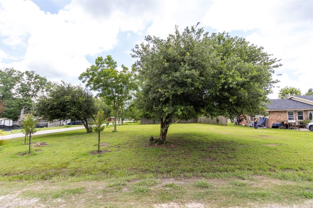 Lot 28 Smith Drive, Hitchcock, Texas image 6