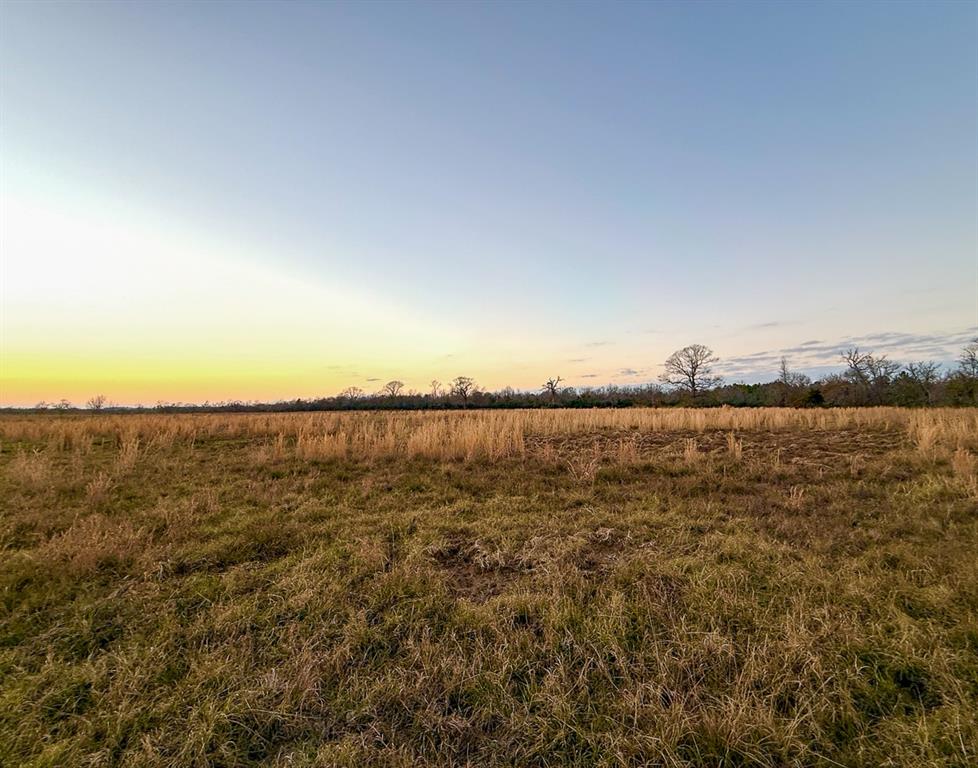 10647 Fm 3178, Oakwood, Texas image 27