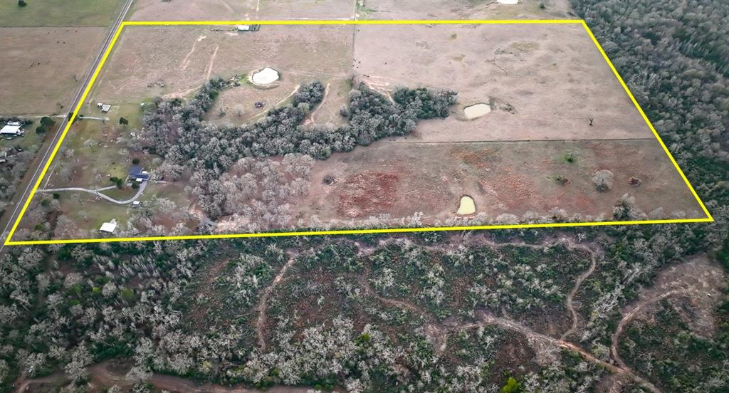 10647 Fm 3178, Oakwood, Texas image 3