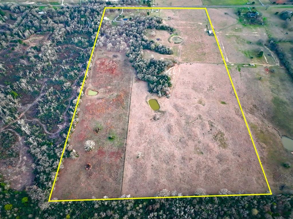 10647 Fm 3178, Oakwood, Texas image 4