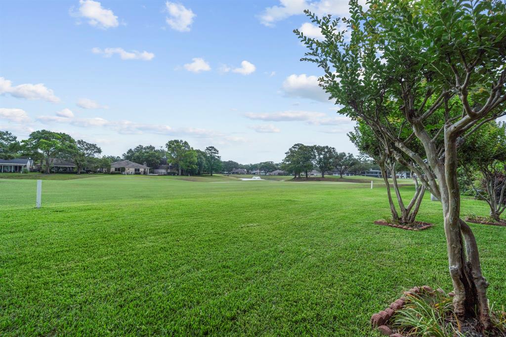 4 Tiffany Square, Sugar Land, Texas image 28