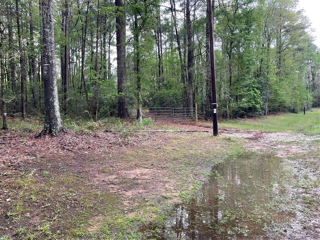 1142 County Road 770, Nacogdoches, Texas image 49